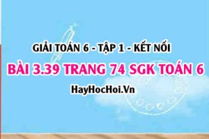 Giải bài 3.39 trang 74 Toán 6 Tập 1 SGK Kết nối tri thức